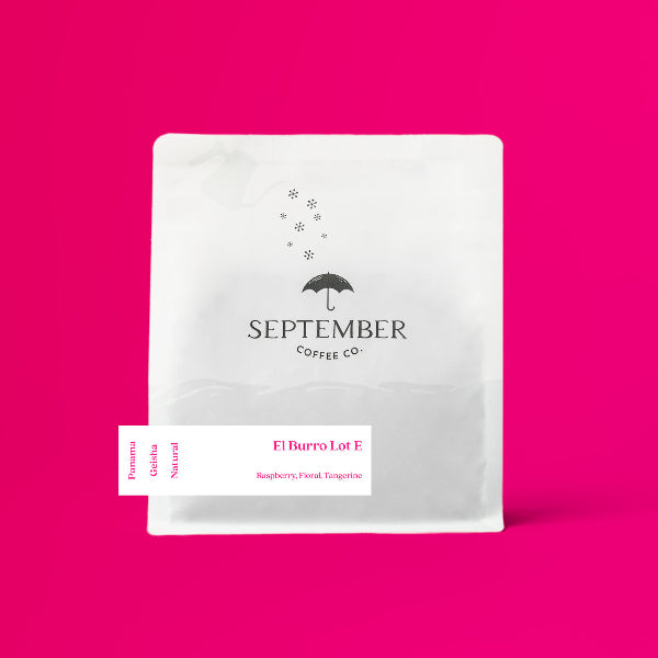 Photo of September - El Burro: Lot E ( Default Title ) [ September Coffee Co ] [ Coffee ]