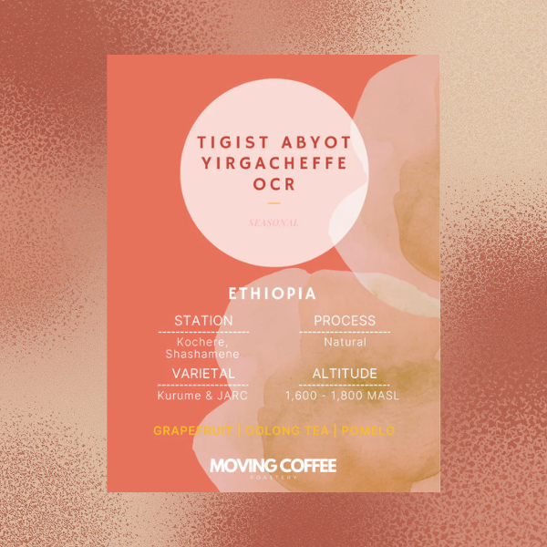 Moving Coffee - Tigist Abyot