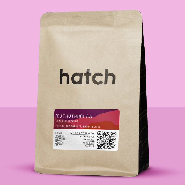 Hatch - Muthuthiini AA