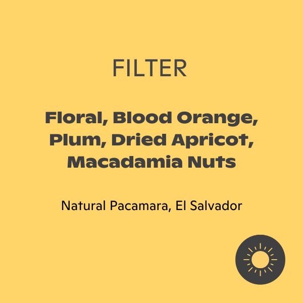 Kurasu - Rene Aguilar: Natural Pacamara