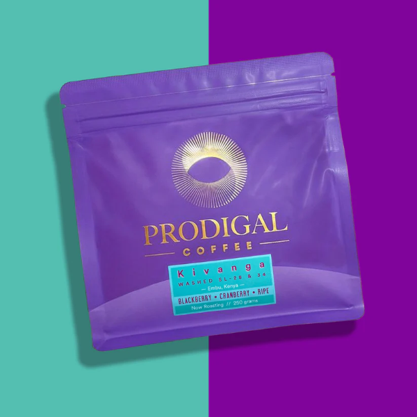 Prodigal - Kivanga AA