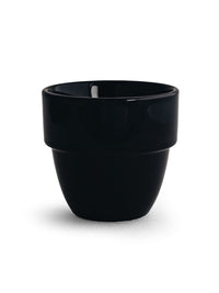 Photo of ACME Taster Tall Cup (260ml/8.80oz) ( Penguin ) [ Acme & Co. ] [ Coffee Cups ]