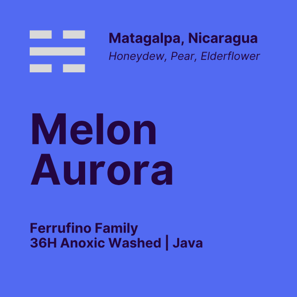 Photo of Jindo Coffee - Melon Aurora ( Default Title ) [ Jindo Coffee ] [ Coffee ]