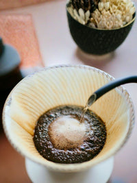 Photo of HARIO V60-02 NEO Dripper (Tritan) ( ) [ HARIO ] [ Pourover Brewers ]