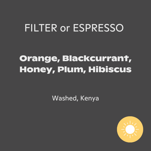Rogue Wave Coffee - Gichuka Factory