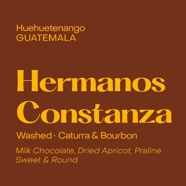 Subtext - Hermanos Constanza