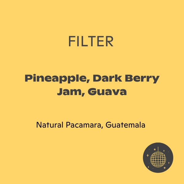 Subtext - Fredy Orantes: Natural Pacamara