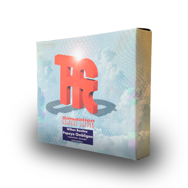 Traffic - Simulation: Wilton Benitez