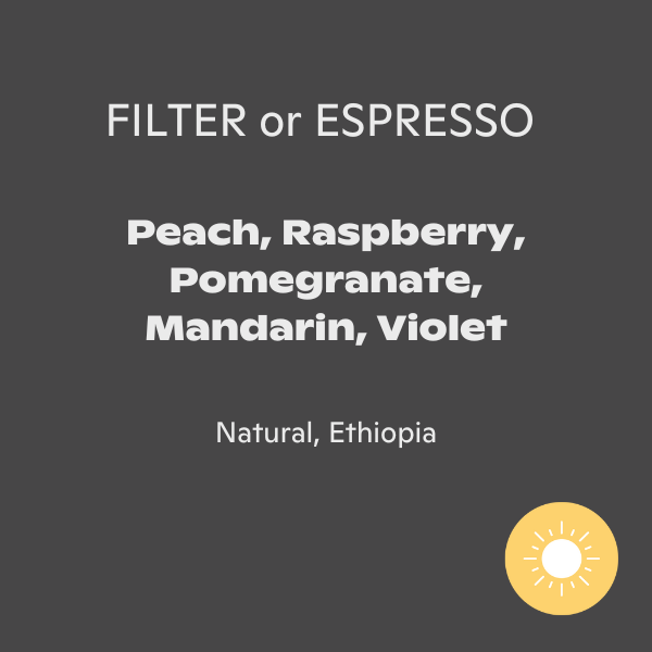 Rogue Wave Coffee - Qabballe Raro Nensebo