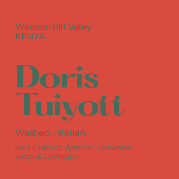 Photo of Subtext - Doris Tuiyott ( Default Title ) [ Subtext Coffee Roasters ] [ Coffee ]