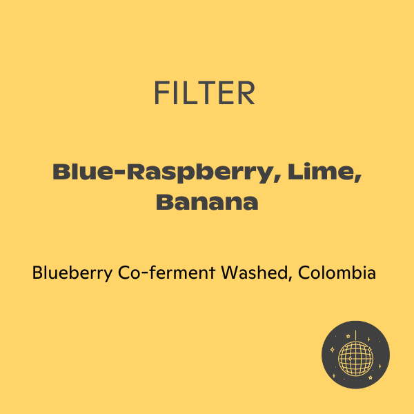 Brandywine - Blueberry Co-Ferment