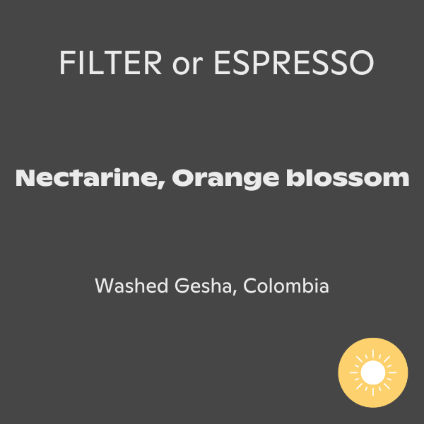 Photo of Friedhats - Aristobulo Rayo Gesha ( ) [ Friedhats ] [ Coffee ]