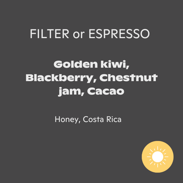 Fritz Coffee - La Isla: Catigua MG2