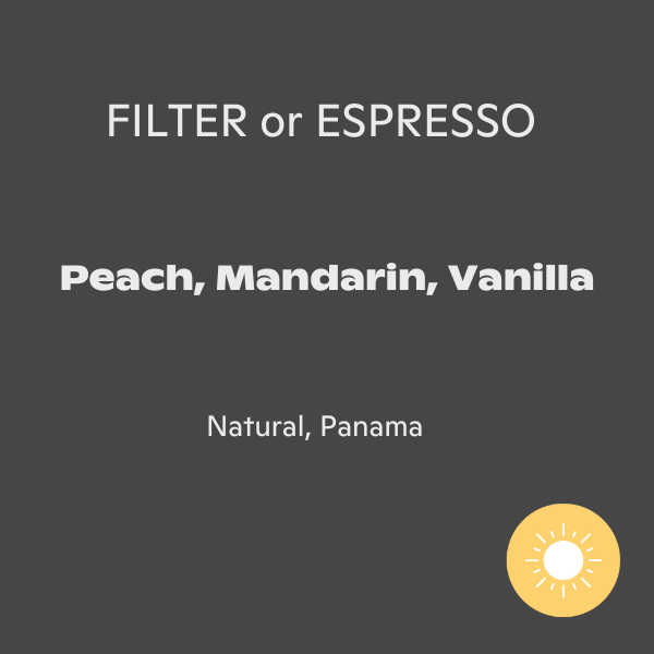 Jindo Coffee - Peachamara