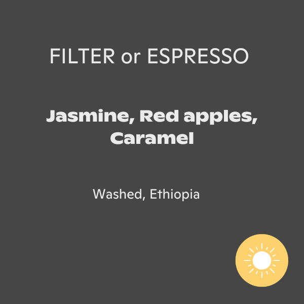 Jindo Coffee - Jasmine Fields