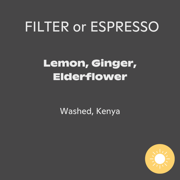 Jindo Coffee - Heliozest