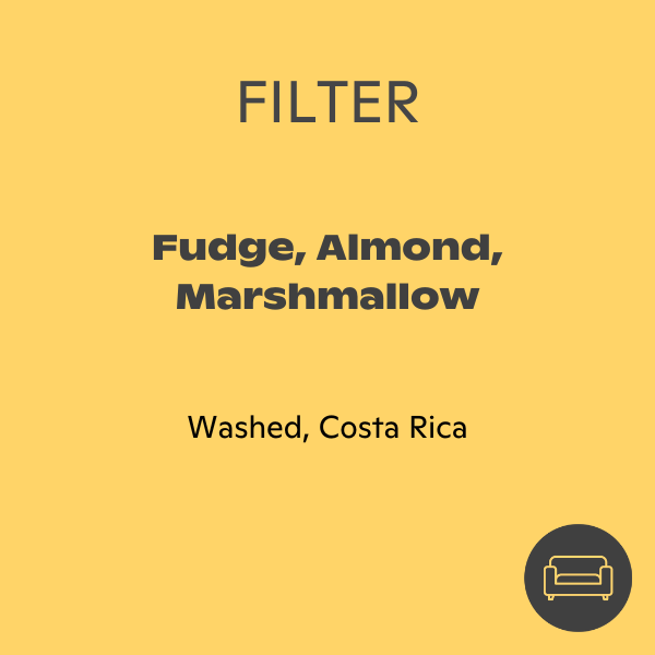 Photo of Monogram - Guanacaste Filter ( ) [ Monogram ] [ Coffee ]