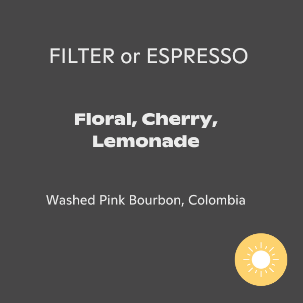 Sweet Bloom Coffee - Jose Martinez: Pink Bourbon