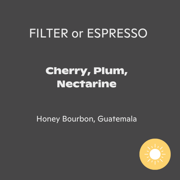 Sweet Bloom Coffee - José Hernández