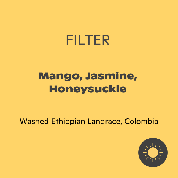 Photo of September - José Martinez: Ethiopian Landrace ( ) [ September Coffee Co ] [ Coffee ]