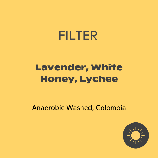 September - Wilder Lasso: Anaerobic Washed Chiroso