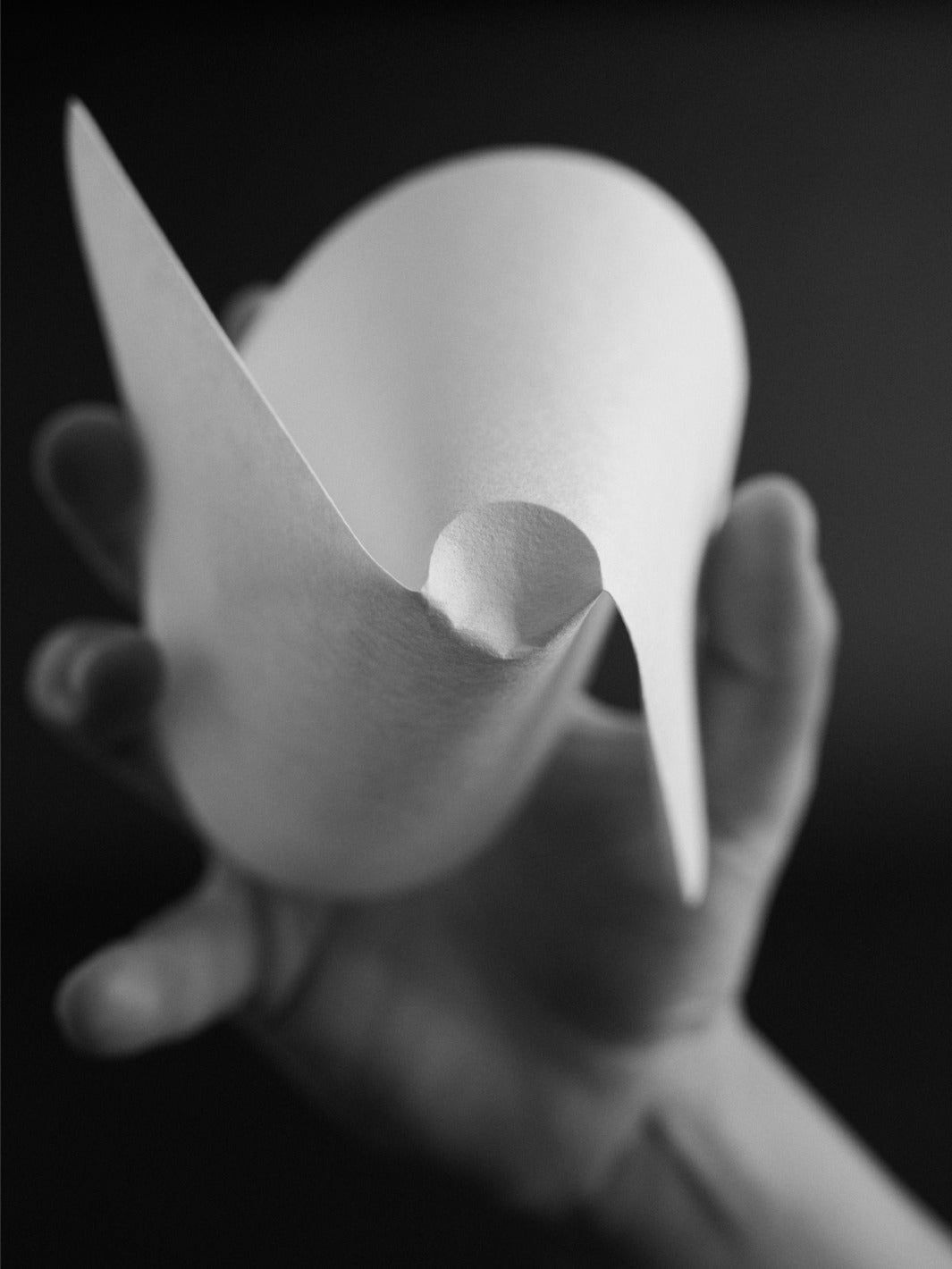 SIBARIST HYBRID Specialty Coffee Filters