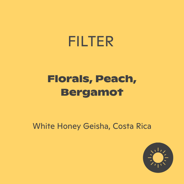 Phil & Sebastian - Santa Teresa Geisha