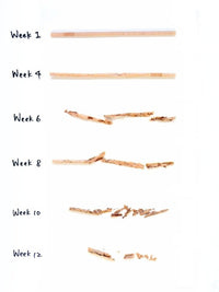 Photo of LITTLE GREEN PANDA Paper-Wrapped Home Compostable Straw (⌀6x210mm/⌀0.24x8.3in) (Straight Cut) (300-Pack) ( ) [ Little Green Panda ] [ Single Use Straws ]