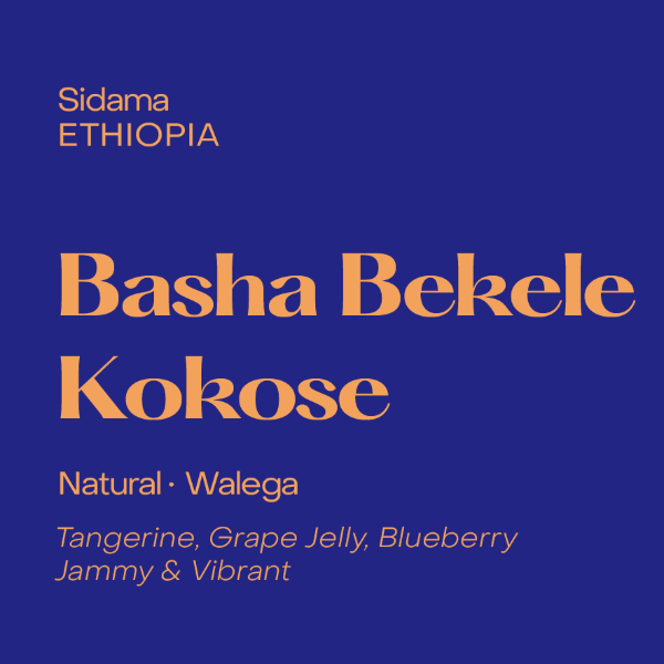 Subtext - Basha Bekele Kokose
