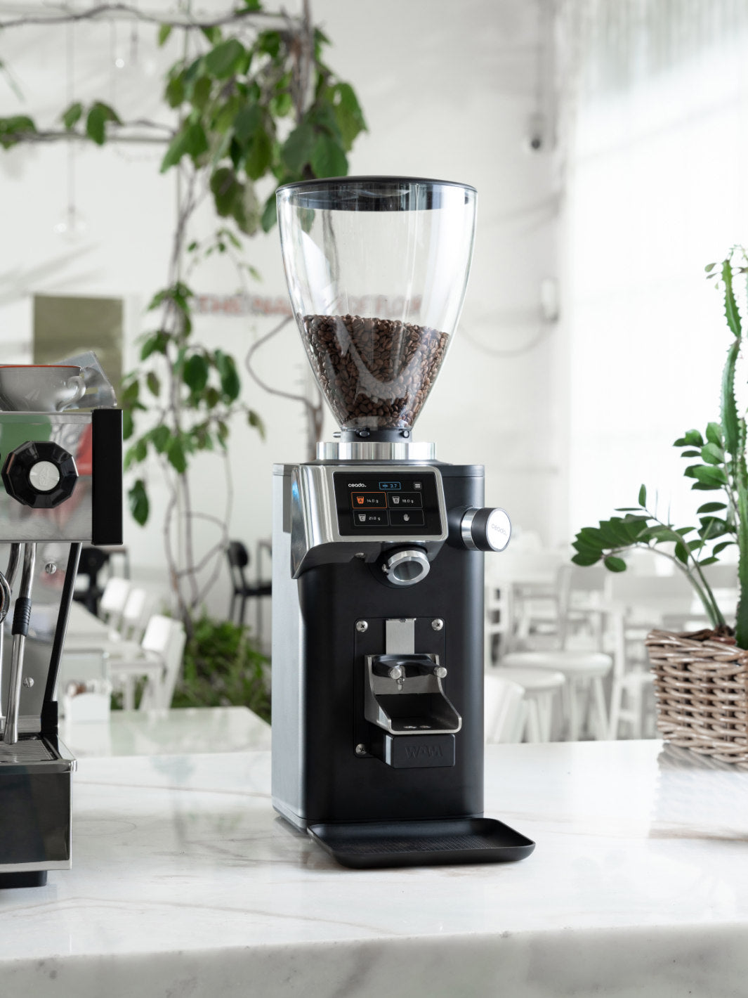 CEADO Rev Titan Espresso Grinder (120V) (⌀83mm) (w/ WAM Module + Iron Candy Burrs)