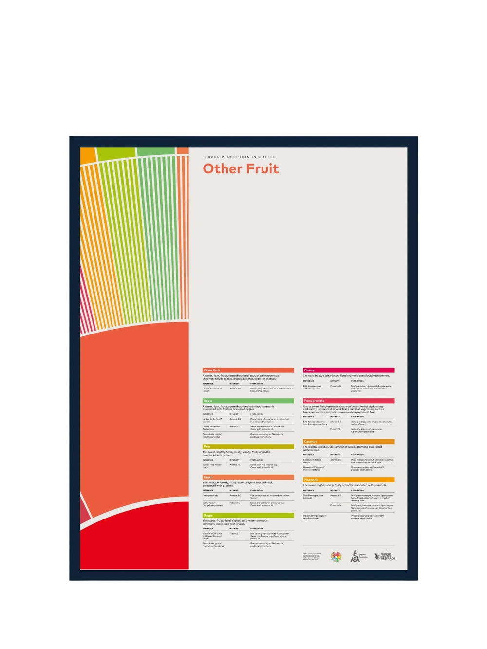 Photo of SCA Flavour Perception in Coffee Poster (Other Fruit) ( Default Title ) [ SCA ] [ Posters ]