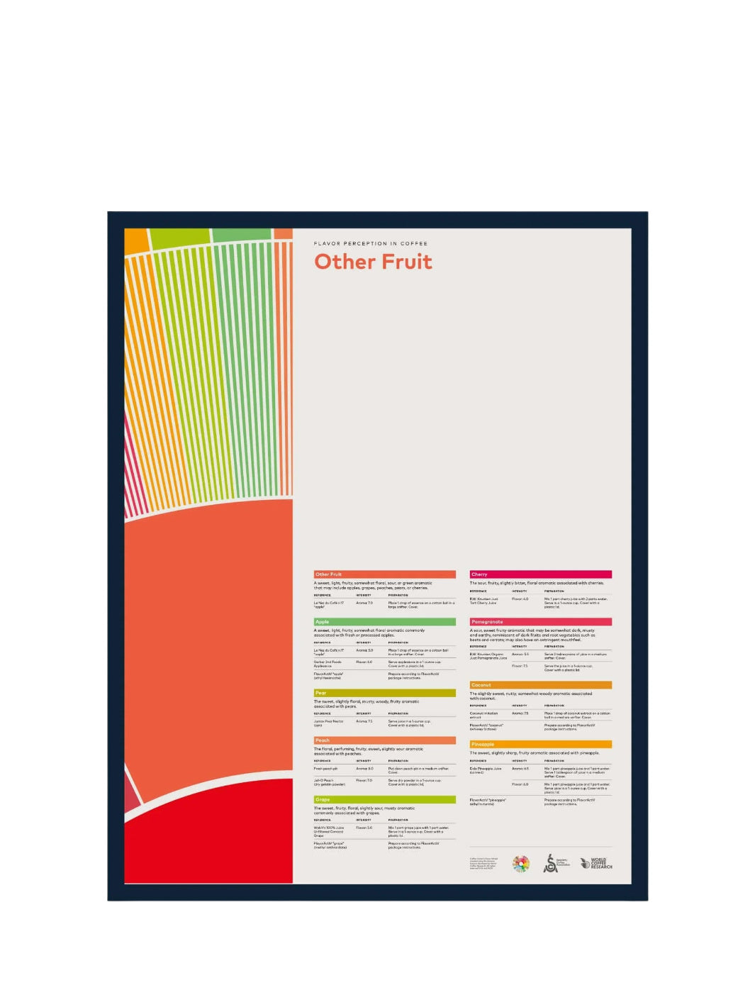 SCA Flavour Perception in Coffee Poster (Other Fruit)