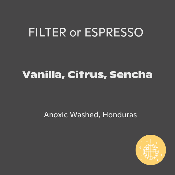 Photo of Jindo Coffee - Vanilla Cane ( ) [ Jindo Coffee ] [ Coffee ]