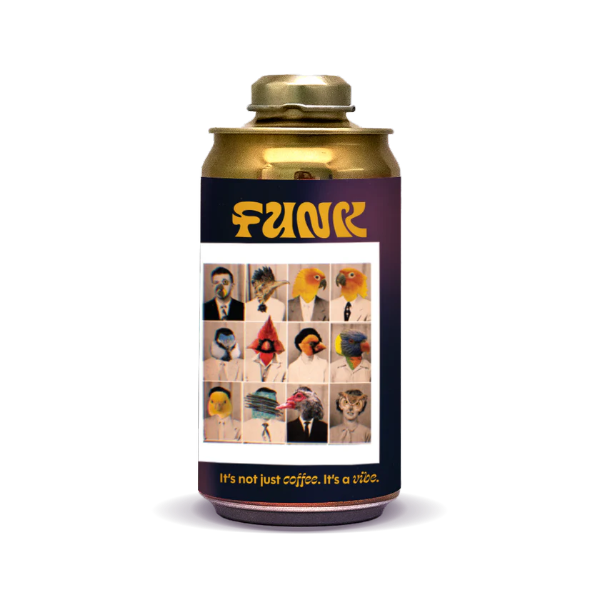 FUNK - Sun Hits the Sky