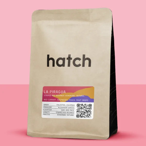 Hatch - La Piragua