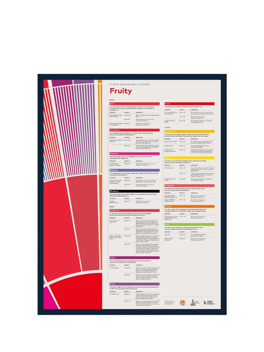 SCA Flavour Perception in Coffee Poster (Fruity)