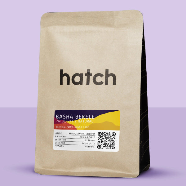 Hatch - Basha Bekele: Natural