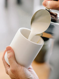 Photo of FELLOW Monty Latte Cup (11oz/325ml) ( ) [ Fellow ] [ Coffee Cups ]