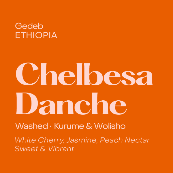 Subtext - Chelbesa Danche Espresso