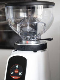 Photo of FIORENZATO AllGround Coffee Grinder (120V) ( ) [ Fiorenzato ] [ Electric Grinders ]