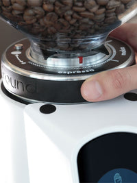 Photo of FIORENZATO AllGround Coffee Grinder (120V) ( ) [ Fiorenzato ] [ Electric Grinders ]