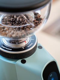 Photo of FIORENZATO AllGround Coffee Grinder (120V) ( ) [ Fiorenzato ] [ Electric Grinders ]