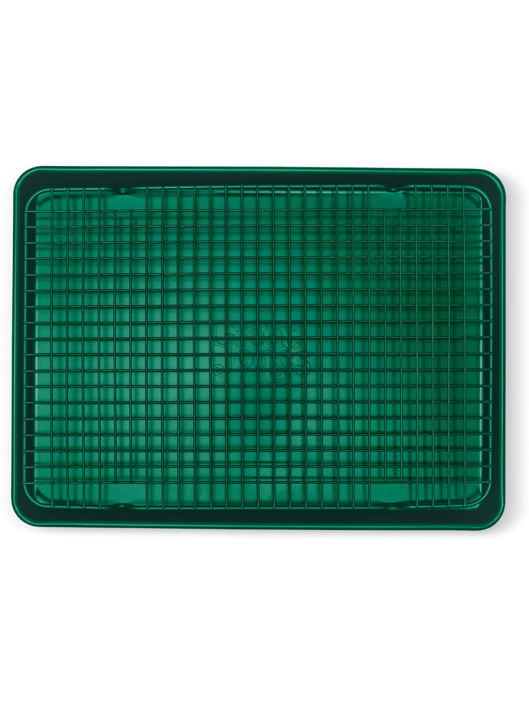 GREAT JONES Big Chill (2-Pack)
