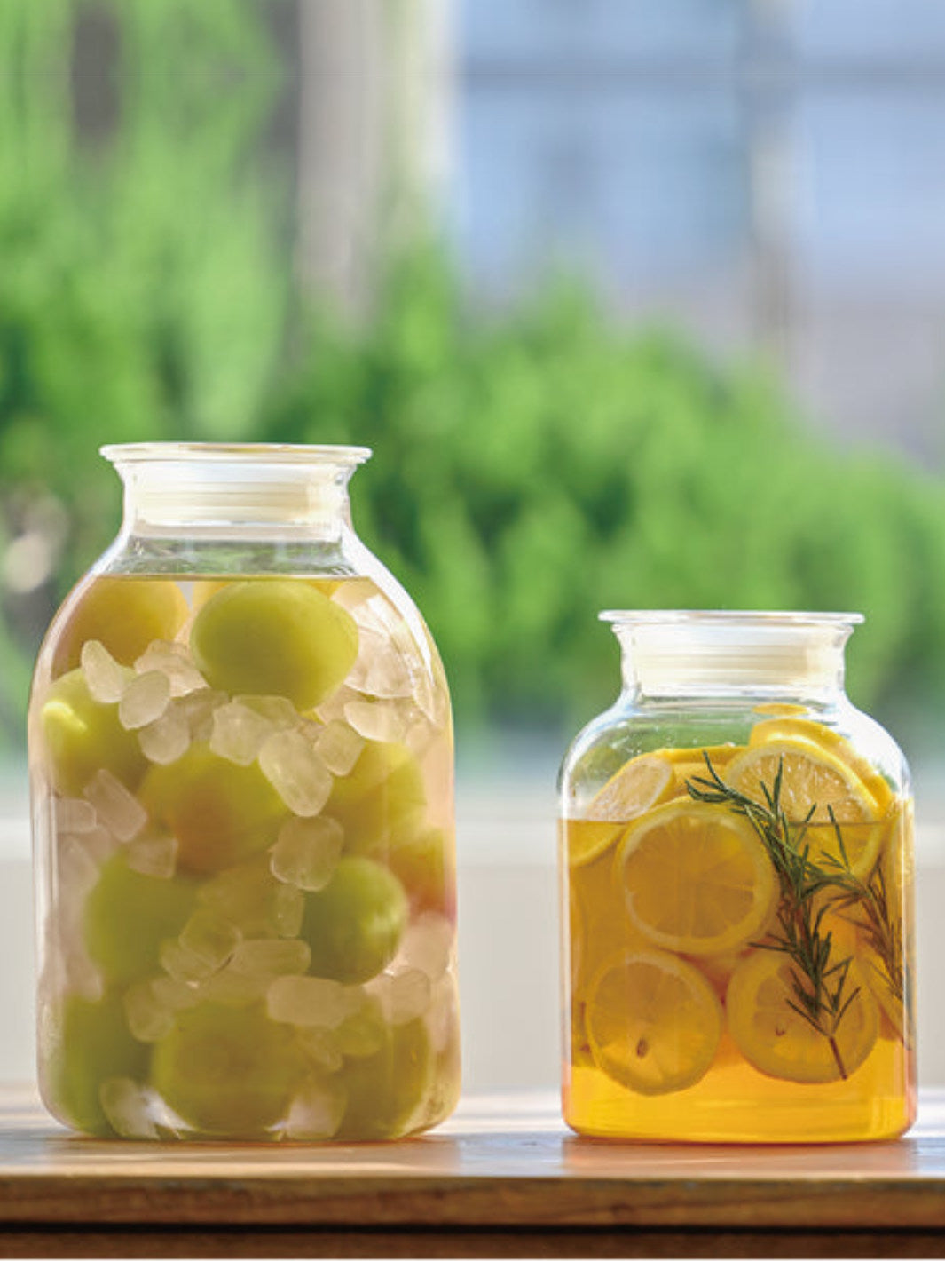 Hario Storage Jar - Thumbnail 3
