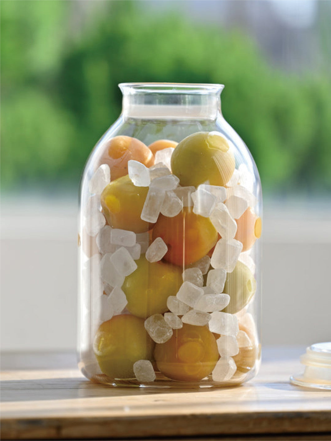 Hario Storage Jar
