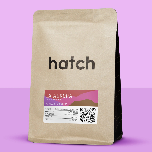 Hatch - La Aurora