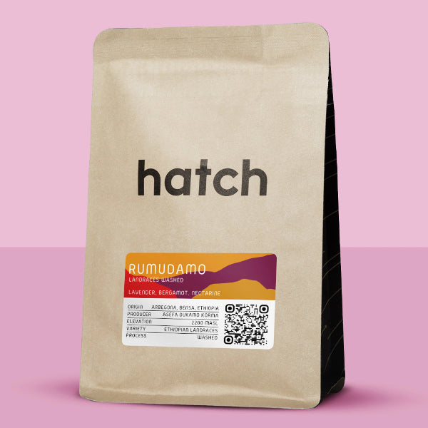 Hatch - Rumudamo