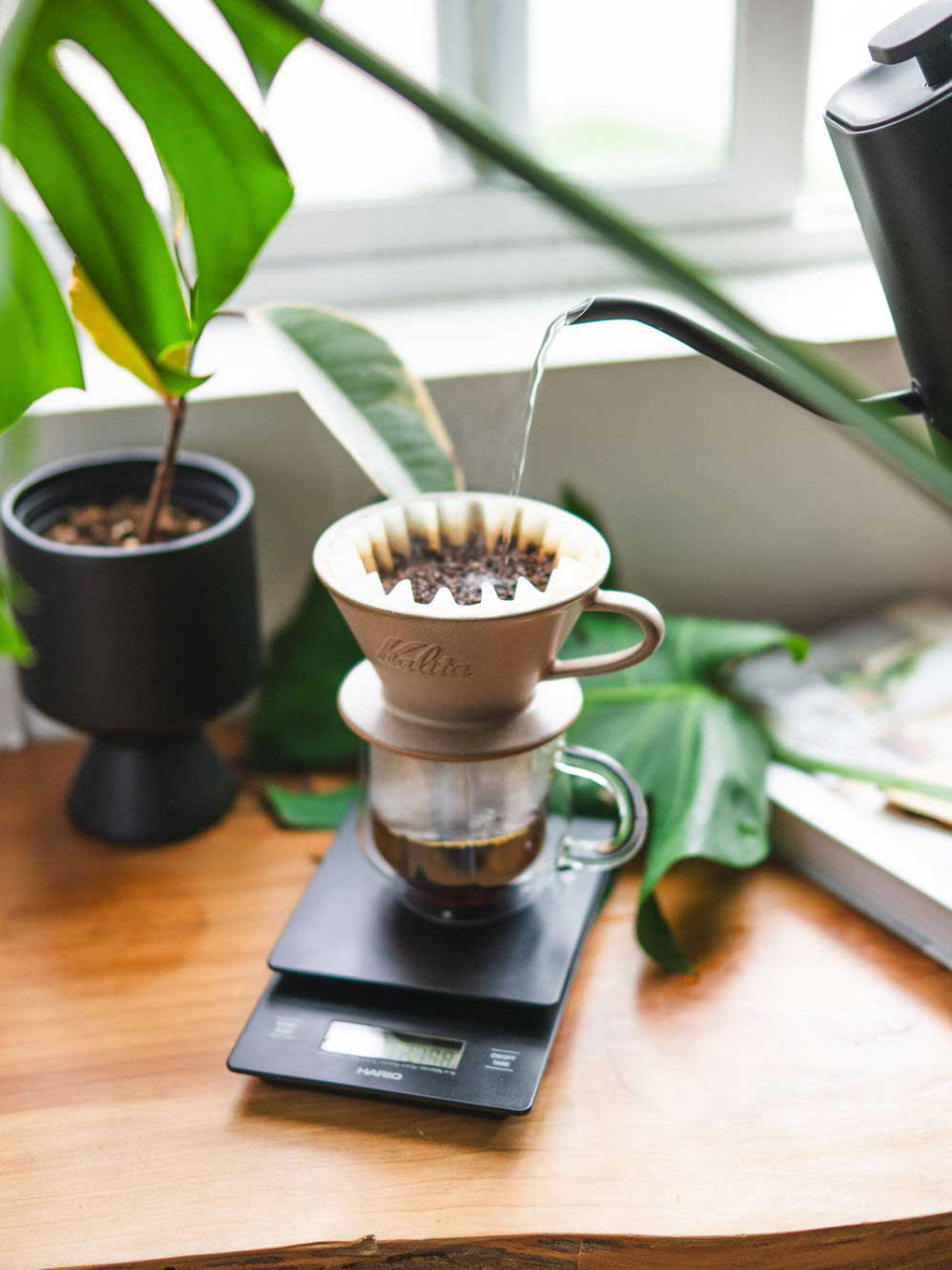 KALITA Wave 185 MINO Pottery Dripper / Pourover Brewers