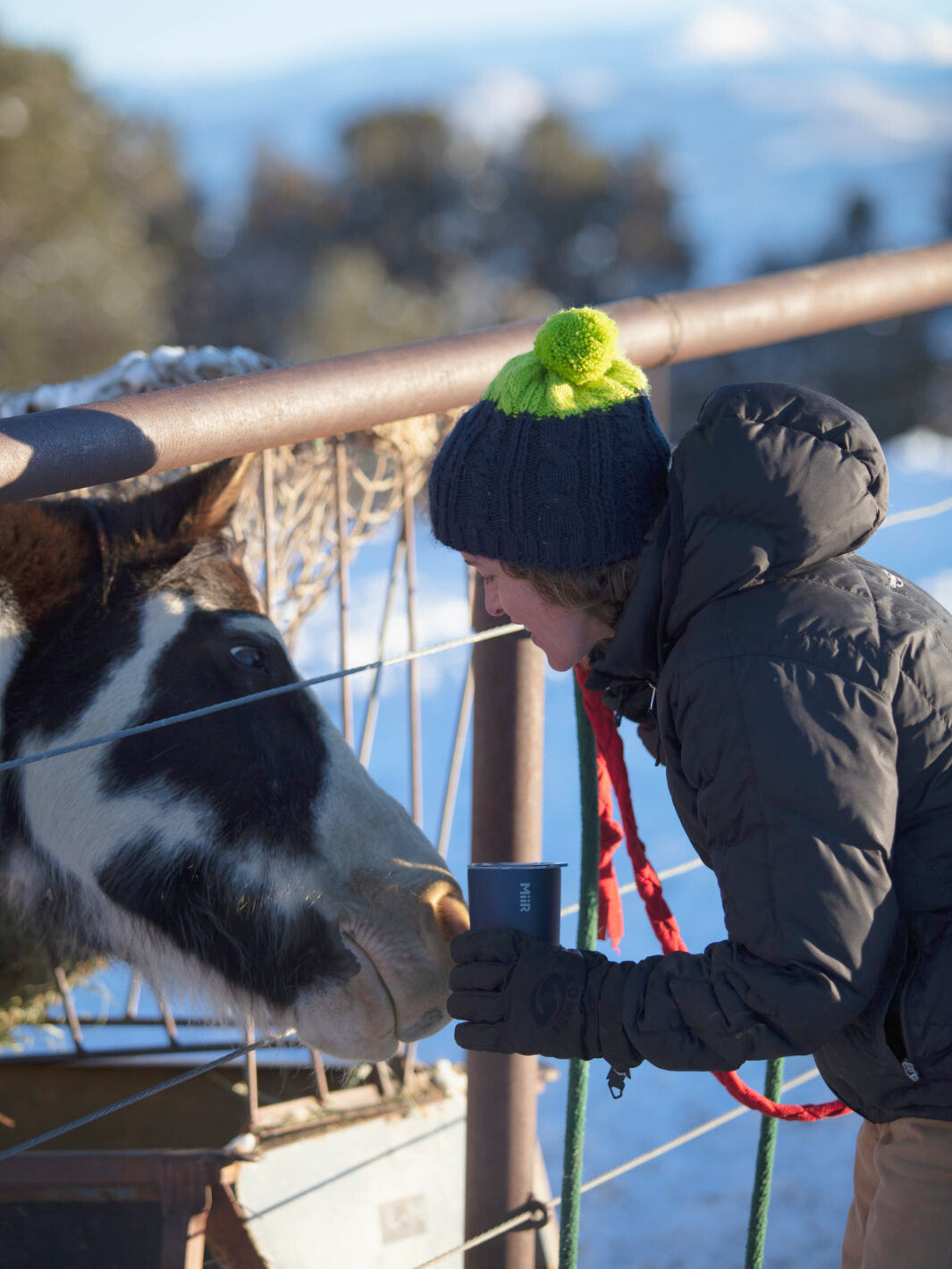 MiiR Tumbler (473ml/16oz)