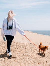 Photo of MiiR Wide Mouth Bottle (591ml/20oz) ( ) [ MiiR ] [ Hydration Bottles ]